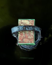 lissa-schu collective